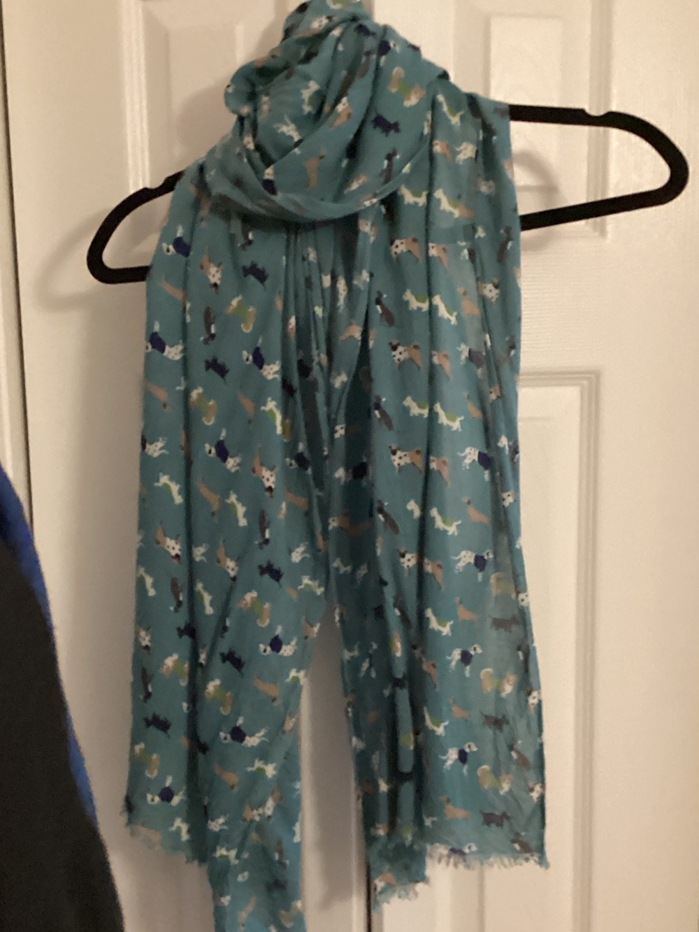 Teal Scarf with Multicolor Dog Print
